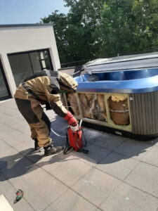 Essaim d'abeilles dans un jacuzzi