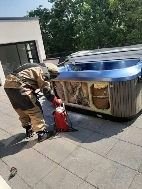 Devant le jacuzzi, nid d'abeilles